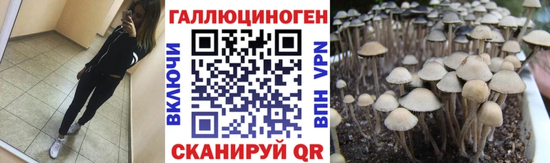 Псилоцибиновые грибы прущие грибы  Купить  Воронеж 